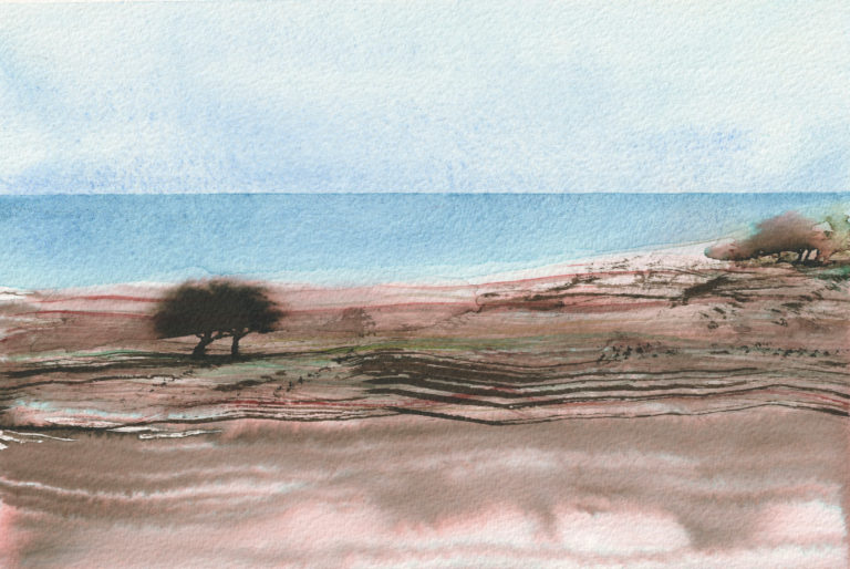 Illustration d'arbres en bord de mer à la Mondrée, plage de Fermanville dans le Val de Saire