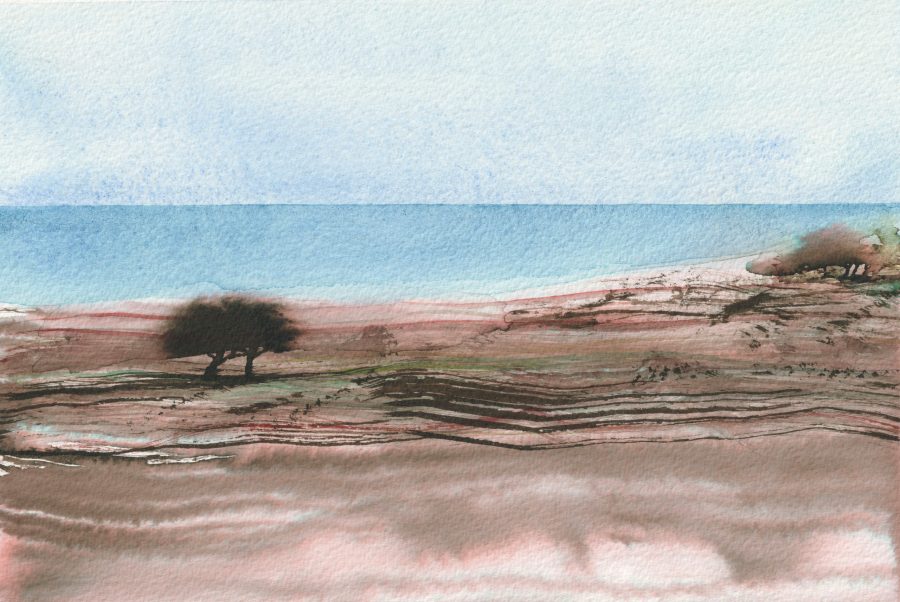 Illustration d'arbres en bord de mer à la Mondrée, plage de Fermanville dans le Val de Saire